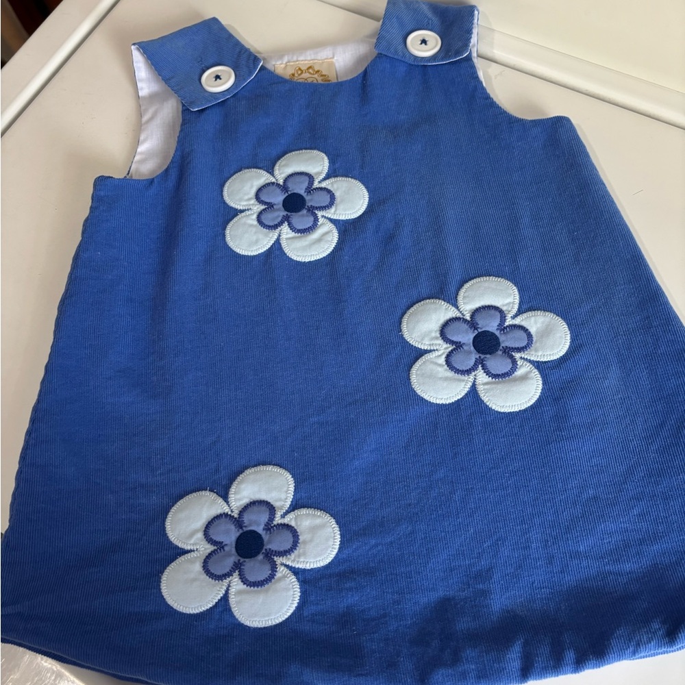 TBBC jumper dress 2T